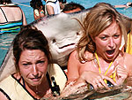 10 Craziest Animal Photos of 2012
