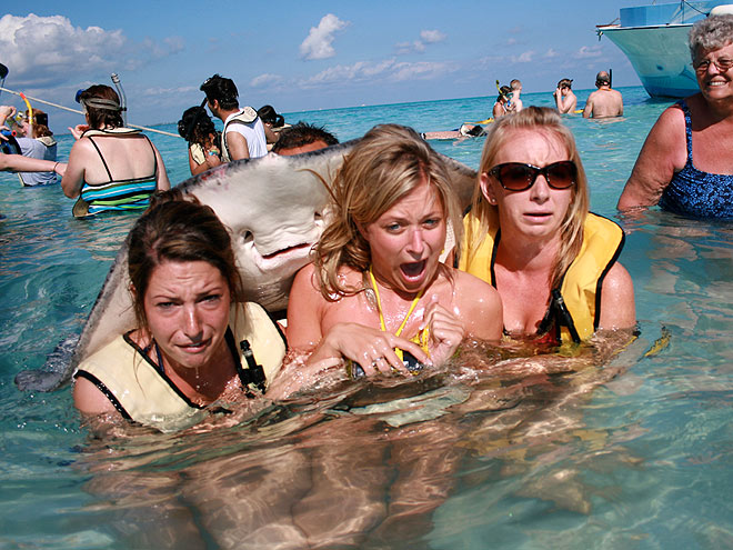 10 Craziest Animal Photos of 2012