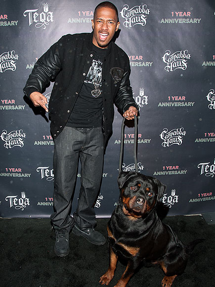 CANINE COMFORT
photo | Nick Cannon