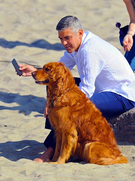 DOG DAY AFTERNOON photo | George Clooney