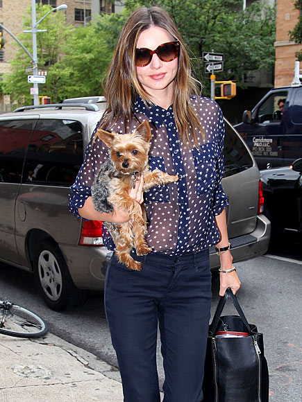 DOG STAR
 photo | Miranda Kerr