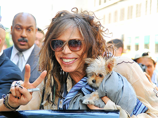 PUBLICITY HOUND photo | Steven Tyler