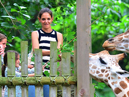 Katie Holmes & Suri Feed Giraffes in NYC
