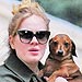 Adele