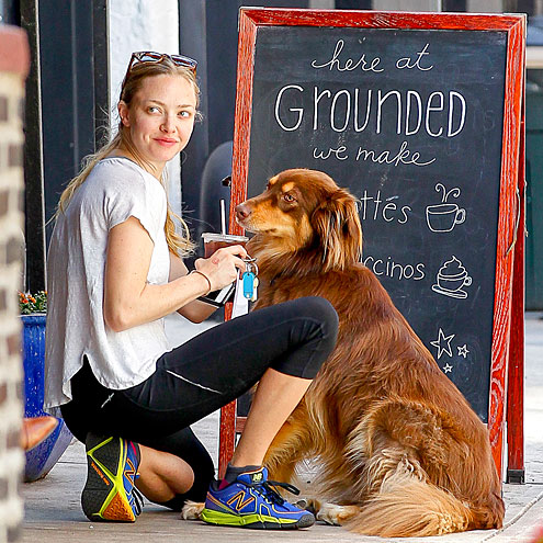 ON COMMON GROUND photo | Amanda Seyfried