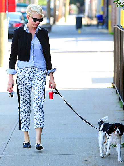 PUP PATROL photo | Michelle Williams