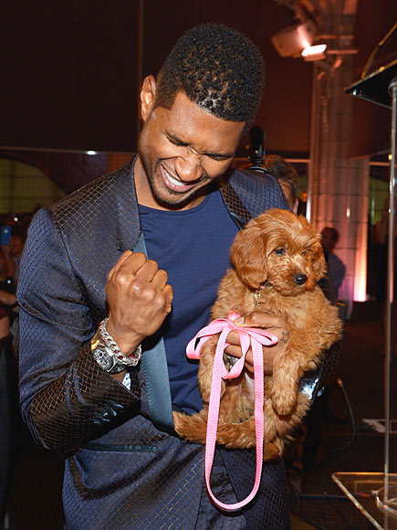 ALL FUR ONE photo | Usher