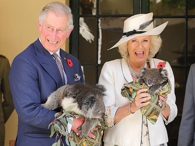 KOALA-TY TIME photo | Camilla Parker Bowles, Prince Charles