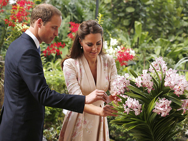 Prince William and Kate Arrive in Singapore| The British Royals, The Royals, Kate Middleton, Prince William, Princess Diana