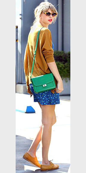 TAYLOR SWIFT'S MINI BAG photo | Taylor Swift