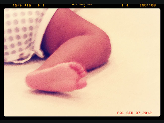 Peek-a-Blue – Ivy!