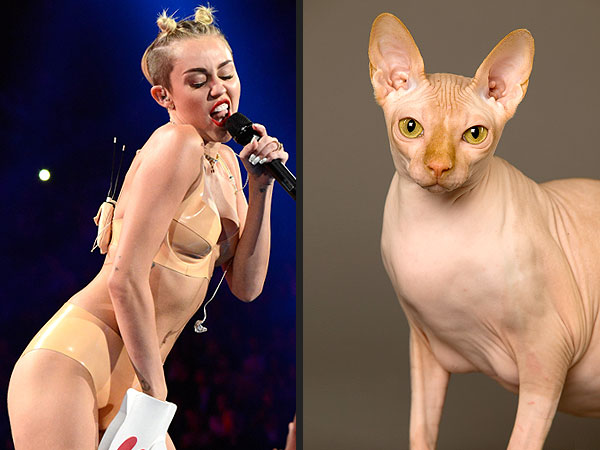 Why We Can't Stop ... Talking About Miley Cyrus| Miley Cyrus