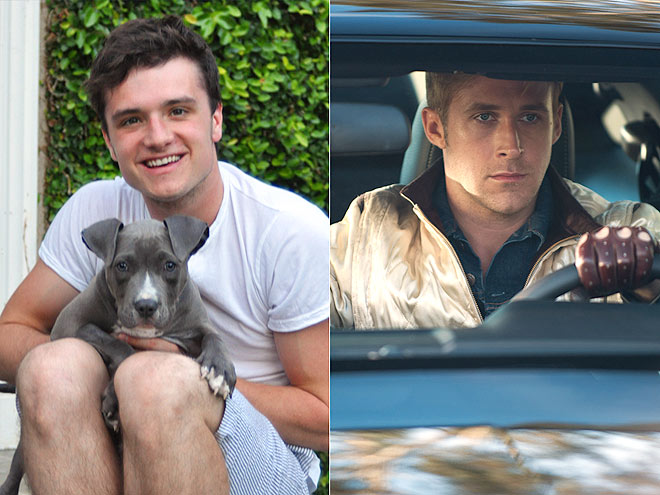 JOSH: IT'S PUPPY LOVE photo | Josh Hutcherson, Ryan Gosling