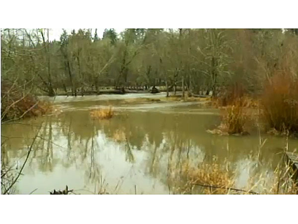 Prison Inmates Save Three Boys from Drowning| Good Deeds, Real People Stories