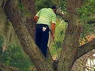 Must Watch: Golfer Sergio Garcia Hits His Ball Into (and Back Out of!) a Tree