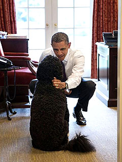 The Daily Treat: President Obama Gets Greeted by Bo