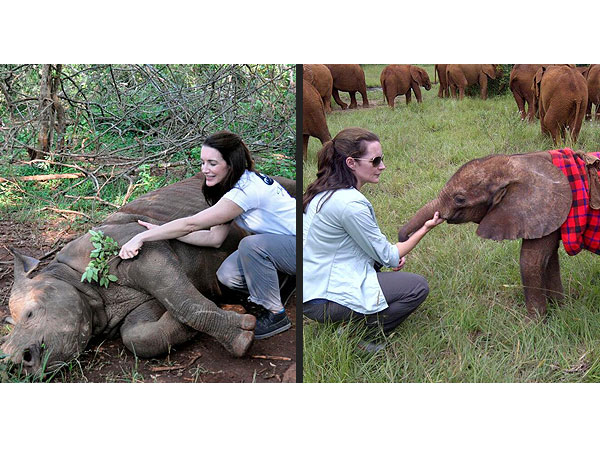 Kristin Davis Adopts and Elephant, Photo