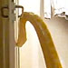 Cool or Creepy? This Snake Opens Doors When You're Not Looking