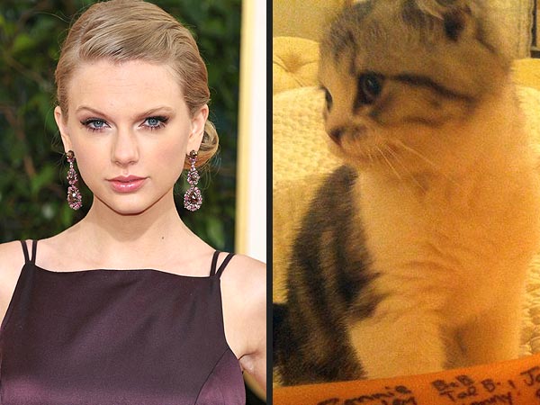 Taylor Swift Hangs with Her Cat – and Leonardo DiCaprio