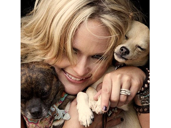 Miranda Lambert, Blake Shelton: Stars and Their Pooches