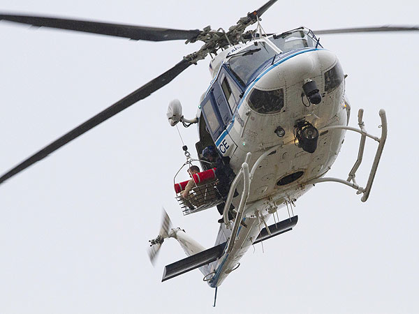 13 Dead in Shooting at Washington Navy Yard| Crime & Courts