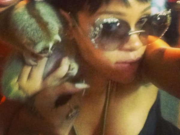 Rihanna Photo with Primate in Thailand Gets Two Men Arrested