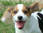January's Cutest of the Cute