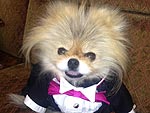 Dancing with the Stars: Gettin' Giggy with It! | Lisa Vanderpump
