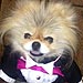 Dancing with the Stars: Gettin' Giggy with It! | Lisa Vanderpump