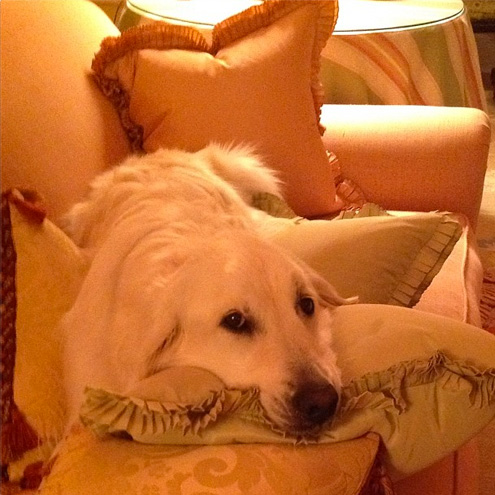 CHILL PILL-OW photo | Oprah Winfrey