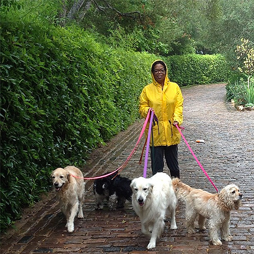 WET LOOK photo | Oprah Winfrey