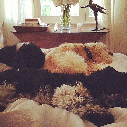 PILE UP photo | Oprah Winfrey