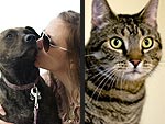 'Tails' of Courage & Survival: Real-Life Pet Heroes