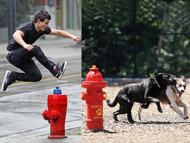 RED ALERT photo | Taylor Lautner