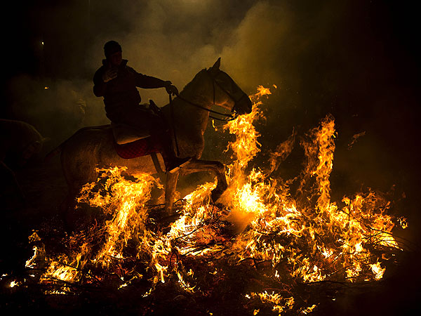 PHOTO: Horses Ride Through Fire for Spanish Festival| Horses, Wacky Animal Stories