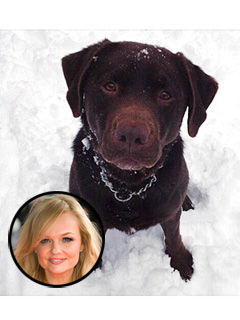 Emma Bunton's Lost Dog Has Died | Emma Bunton