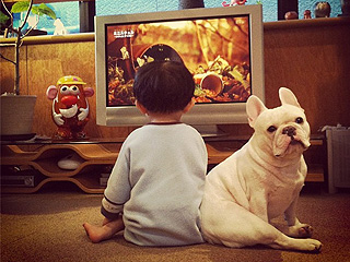 The Water Bowl: The Best Dog Pictures You'll See on Instagram All Day