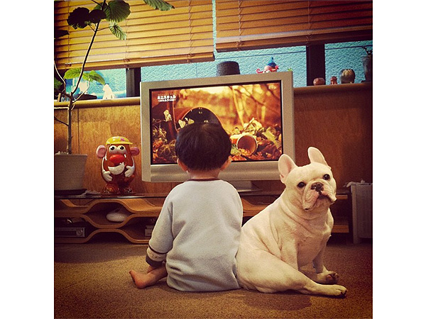 Instagram Photos of Tasuku and his French bulldog Muu Go Viral