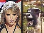 No One Loved the Screaming Goat Videos More Than Taylor Swift