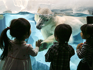 The Daily Treat: The Most Un-Bear-Ably Cute Zoo Encounter You'll See Today