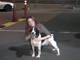 Ruff Landing: Dog Flies to Ireland By Accident