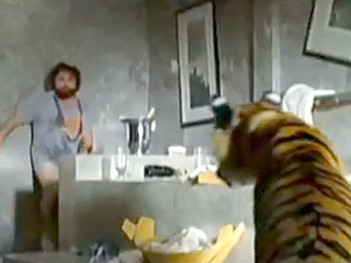 Surprise! Woman Finds Escaped Tiger in the Bathroom
