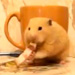 This Hamster Needs to Go Back to Kindergarten & Learn How to Share