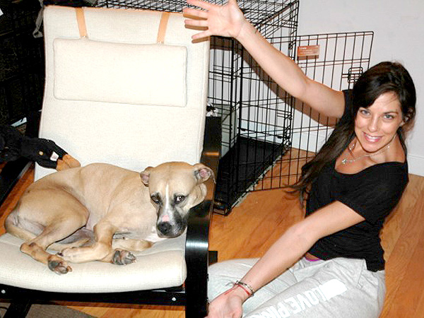 Jenna Morasca: My Next Boyfriend Needs to Be a Dog Lover| Stars and Pets, Dogs, Ethan Zohn, Jenna Morasca