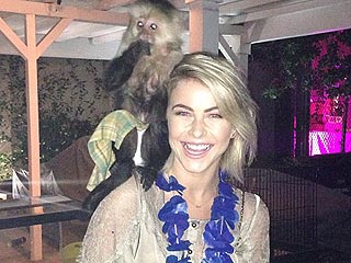 Meet Julianne Hough's New 'Soulmate' … A Monkey!