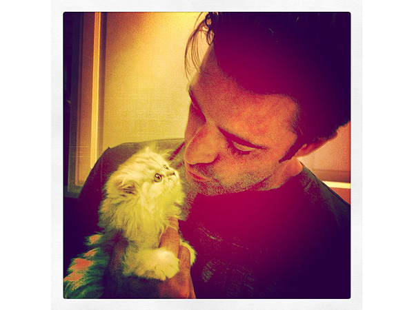 See How Gilles Marini's New Cat Is Already Causing Trouble| Stars and Pets, Dogs, New Pet, Gilles Marini