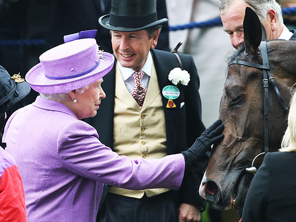 Queen Elizabeth's Horse Wins Gold Cup| Animals & Pets, The Royals, Queen Elizabeth II