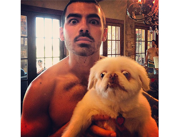 Joe Jonas with Bug-Eyed Dog on Instagram Photo