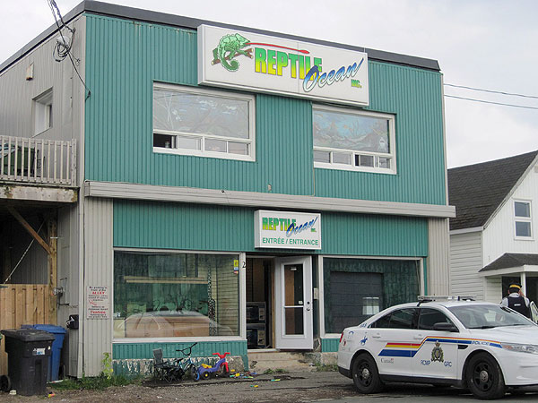 Python Kills 2 Boys in Canada After Escaping Pet Store