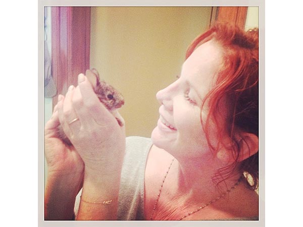 Melissa Gilbert Twitter Photo with Bunny